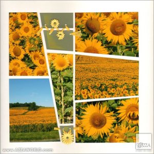 Note the paper cut into the stencil shape and the inking/pens used on the paper.