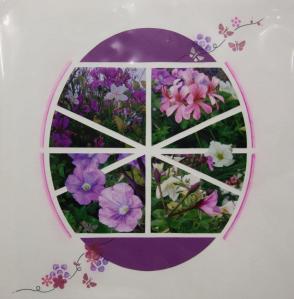 575504_314868901936953_1262622864_n