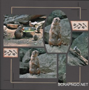 Courtesy AZZA Europe.