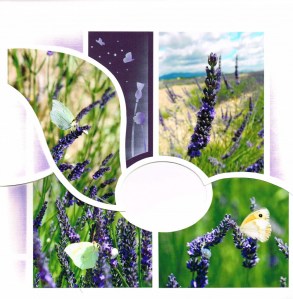 nathalie-macioszek-p4-pliee-1002x1023