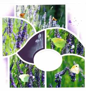 nathalie-macioszek-p5