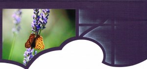 nathalie-macioszek-ps-rabat-1023x487