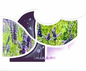 nathalie-macioszek-rabat-6-1024x849