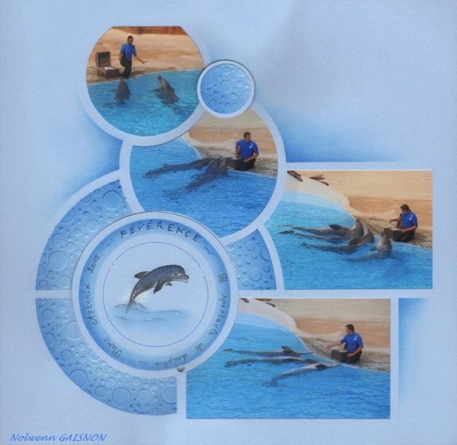 nolween_gaisnonlondonriodolphin1