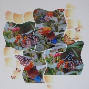 1900035_707663722642972_2031866075_n