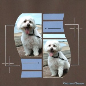 BottlesChristinedigiscrap