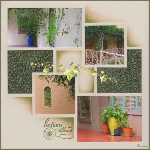 BrusselsMexicoparfums