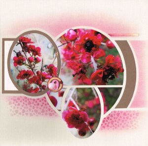 Nathalie_Macioszek_016