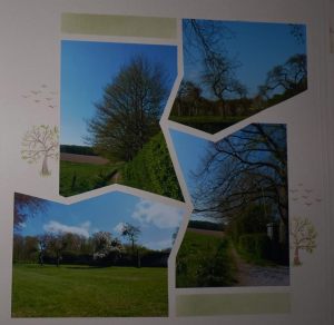 10275519_10204322548370401_3568750222635297127_o