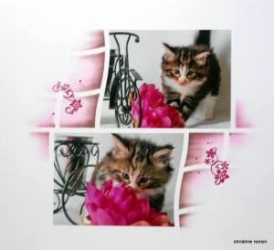 10483275_676101705806383_4429999651603986260_n