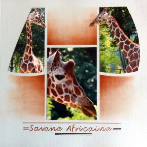 10603942_710804932288651_115347914358218274_o