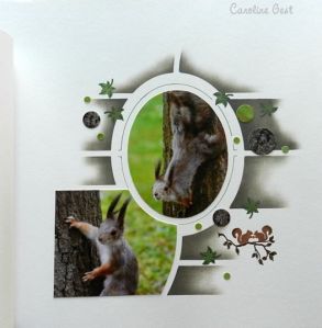 PortoCarolineGestSquirrell