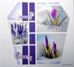 10896843_807588372611013_1936367138161945301_n