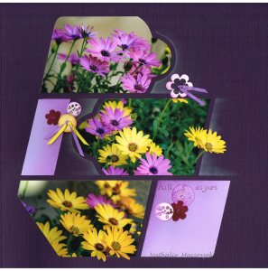 1492273_1056047207755133_7783495028759074563_o