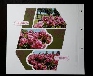 10422268_10153130748467460_5464420172549301174_n