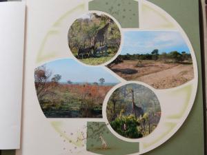 BilbaoMichellePiron2