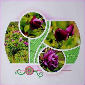 11009859_956035404440613_1308171093352780660_o