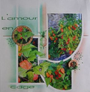 RegineBlanchardToronto