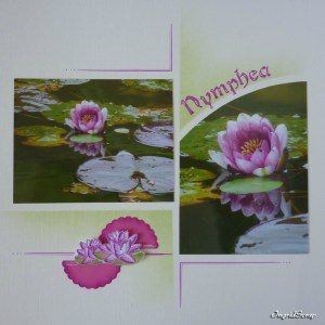 SofiaLimeIngridscrap