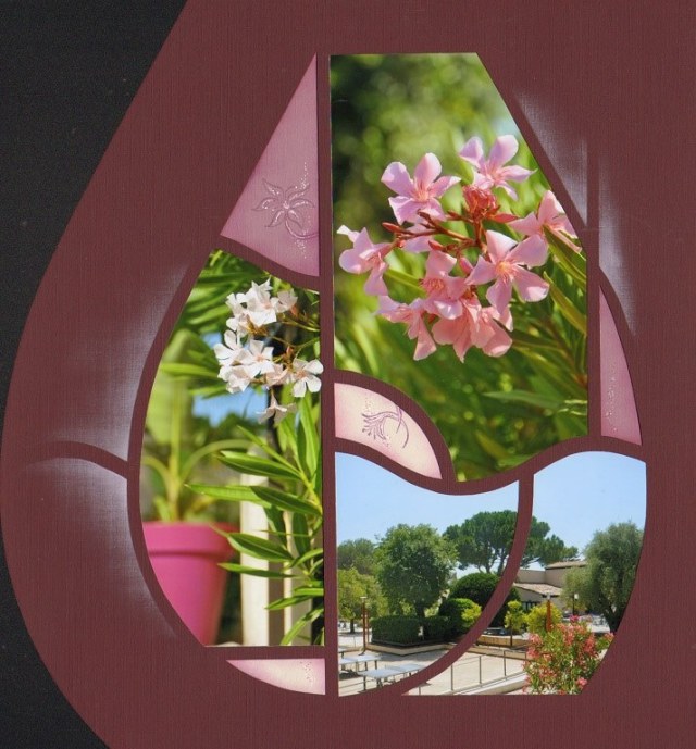 essentialschristine4