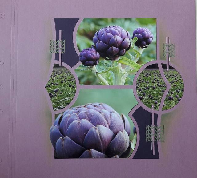 galapagosscrapderoz976037408026784_n