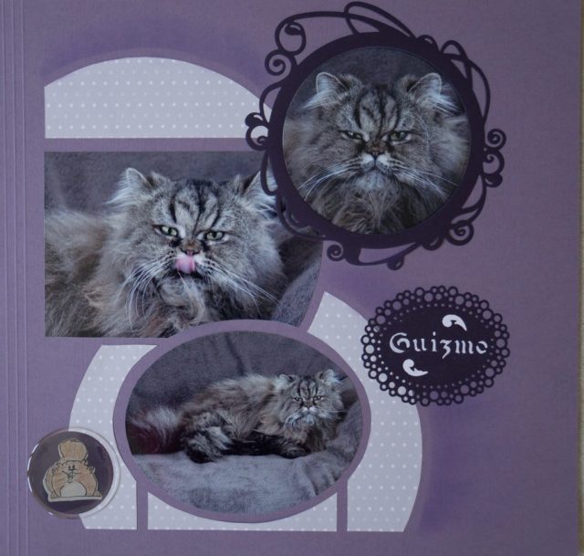 19956620_10209062678437091_7878769355374712531_o