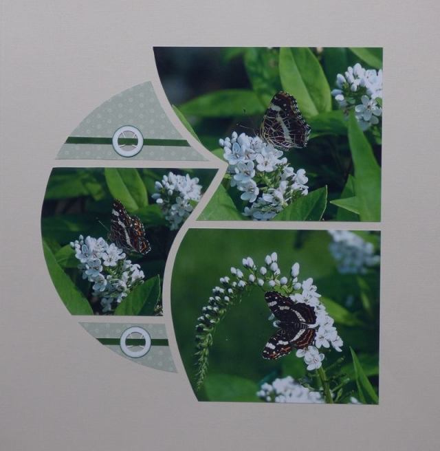 19990240_1475642499157551_4380905448693245828_n