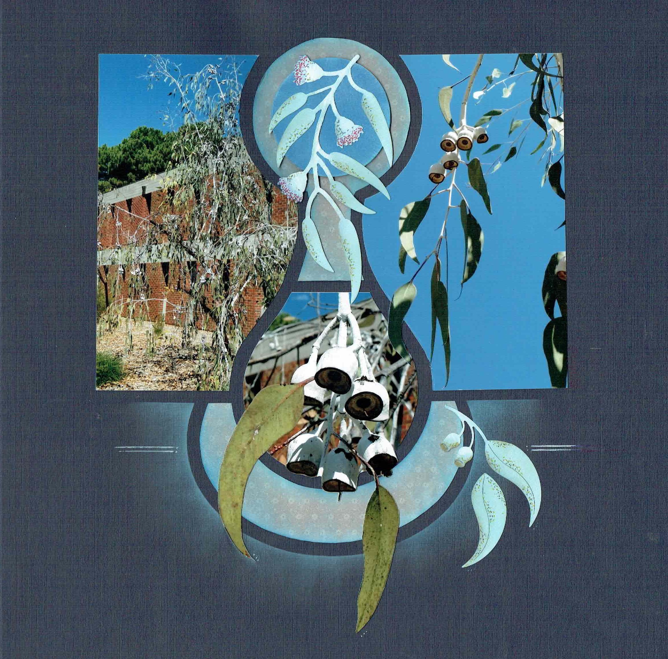 AU041 B Rae - Aqua - curtin