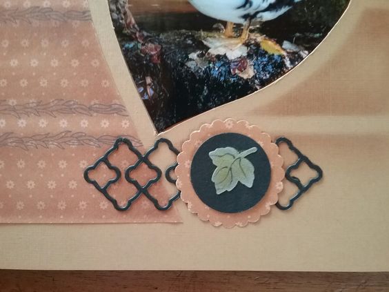 edc24dfcff001689e2ceaac9170f5754