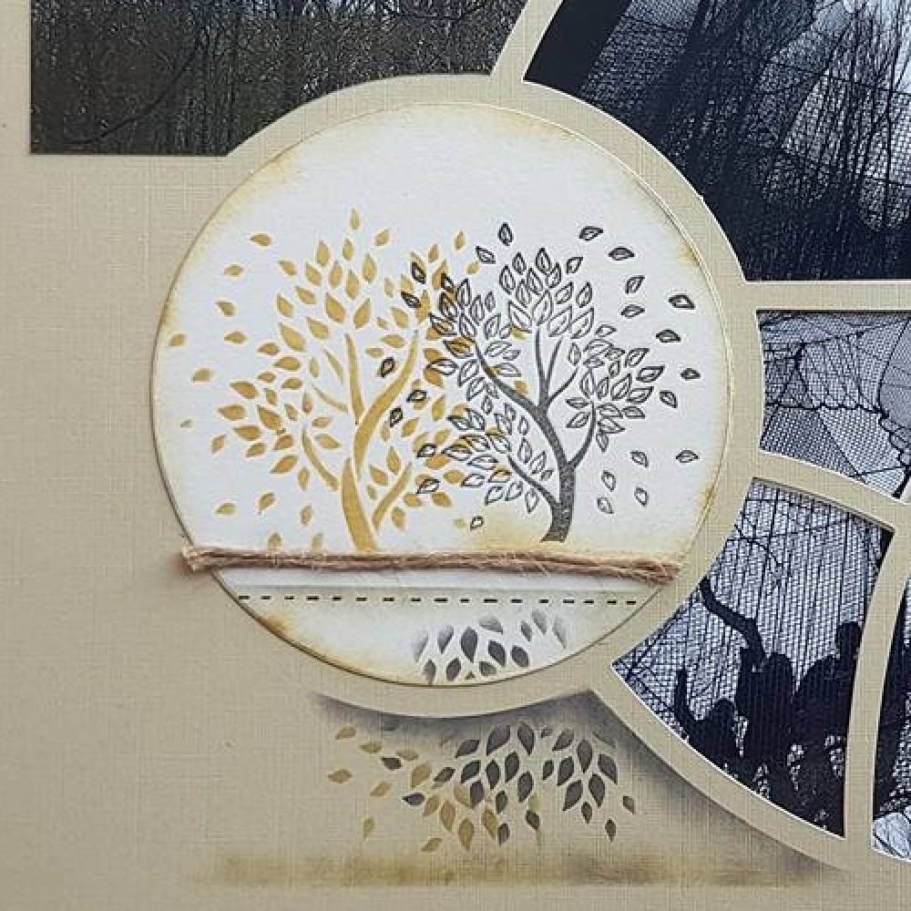 muriel_tiberghien_1_-_copie