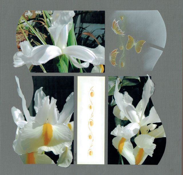 RAE Barb - AU041 - Mauritius - Lilly