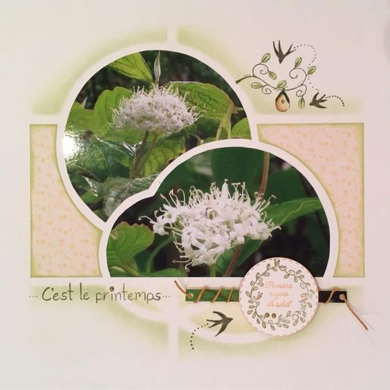 d2d795a572682b352e84e474df17ecb7