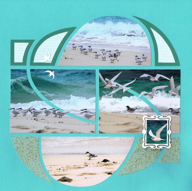 AU069 Deborah Byrne 4.jpg