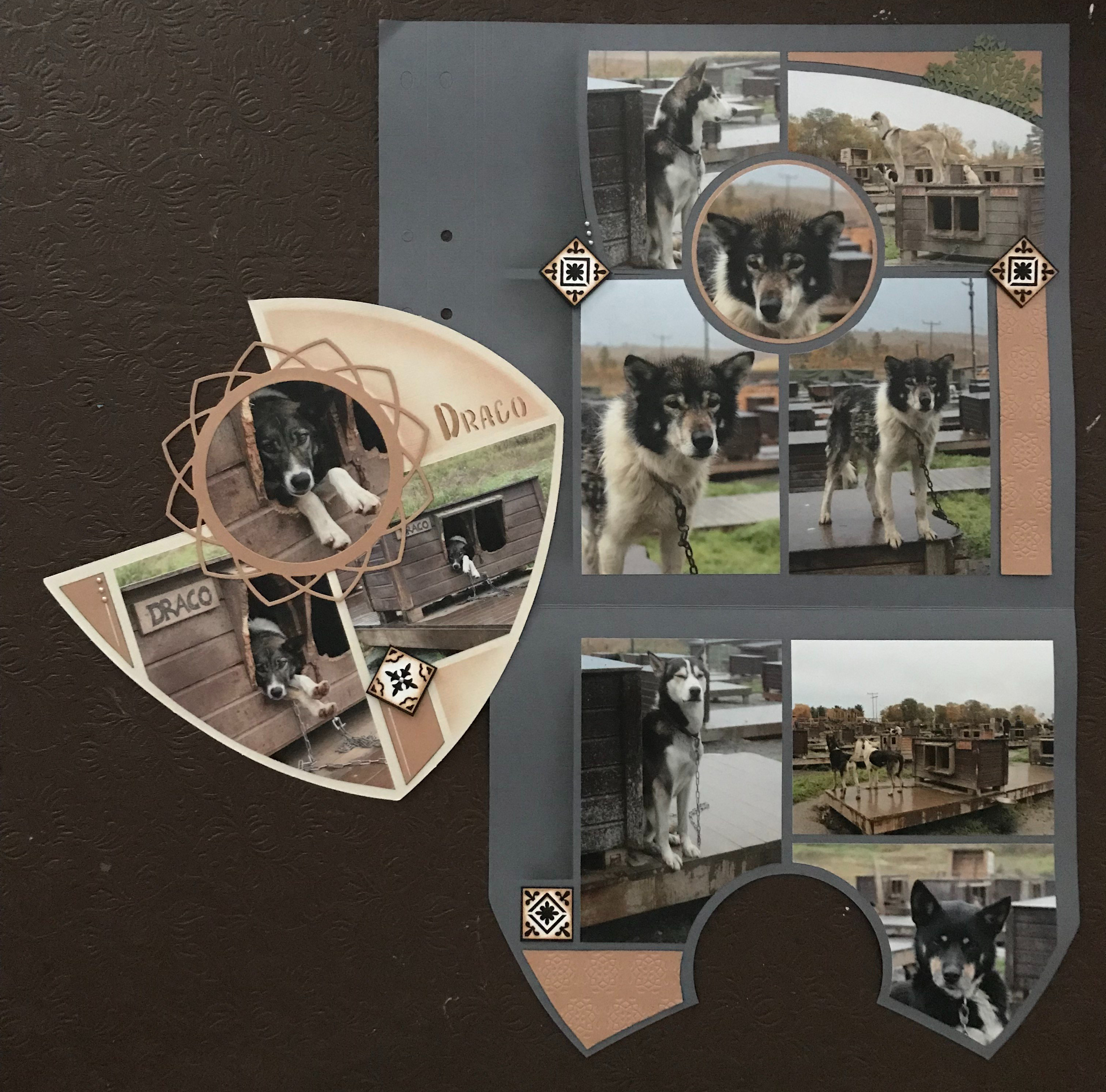 LPcOk4bqR7eeYK7QbyydUA