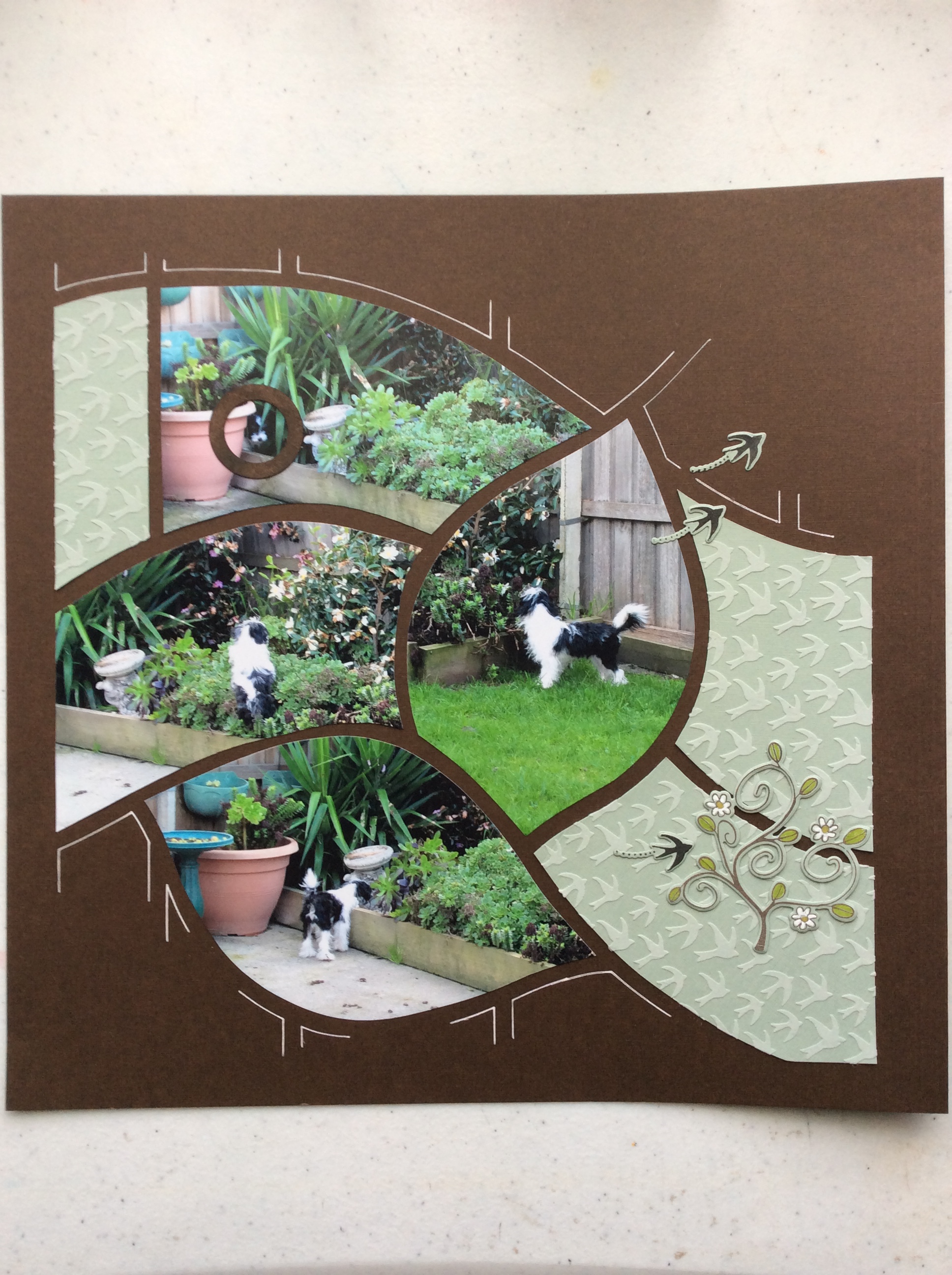 AU061 Wendy Mongan.JPG