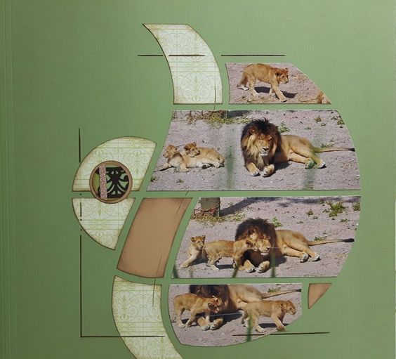 23a010bf2f93634056e19ad8b6263510