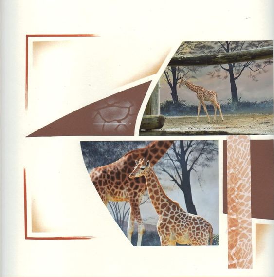 65586f3391ab4e0a42e3585641b58277