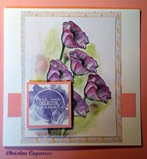 Christine Caparros.jpg